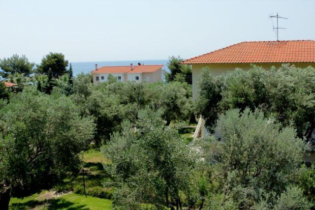 Petradaki Apartments Μόλα Καλύβα Εξωτερικό φωτογραφία