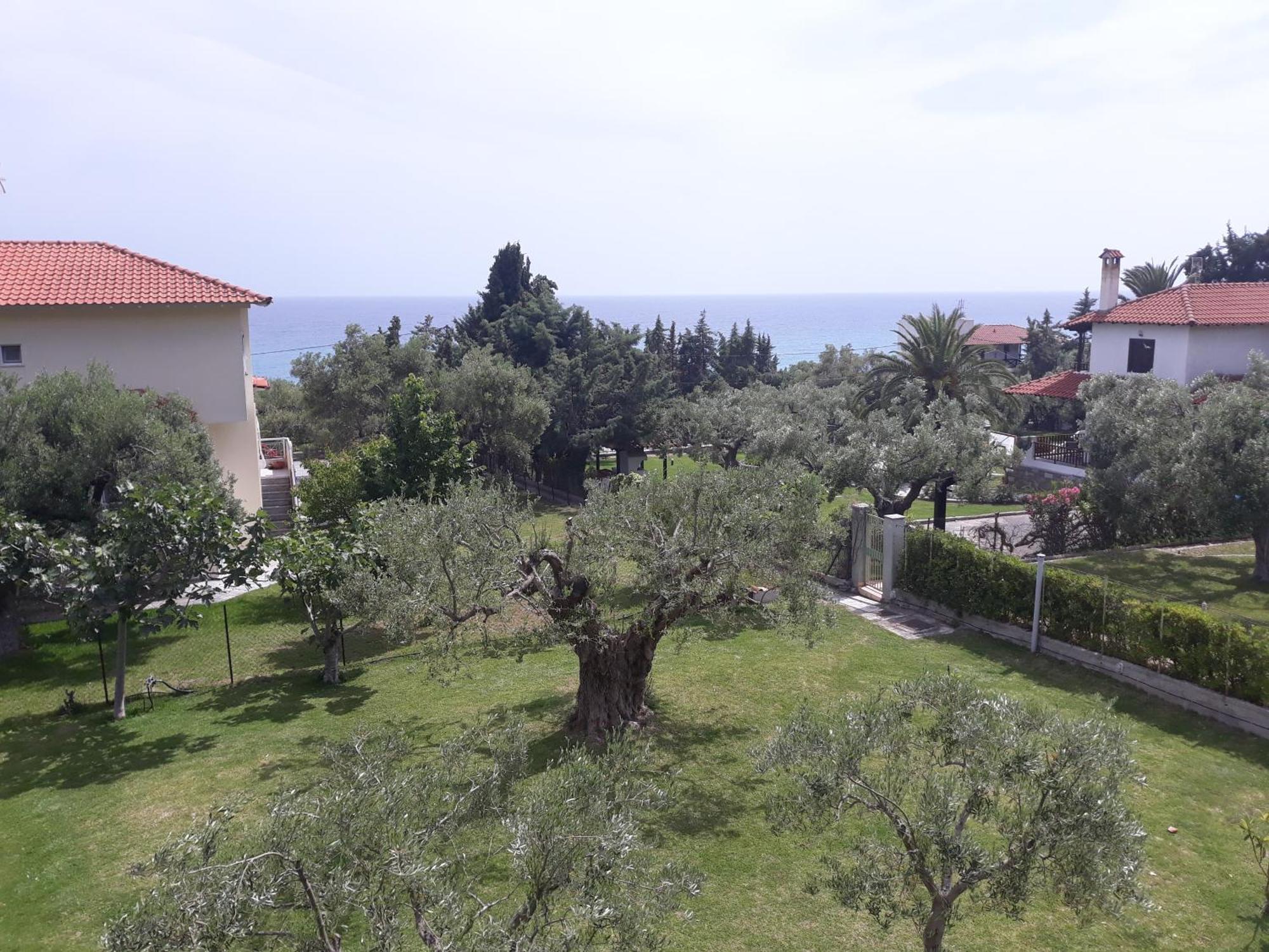 Petradaki Apartments Μόλα Καλύβα Δωμάτιο φωτογραφία